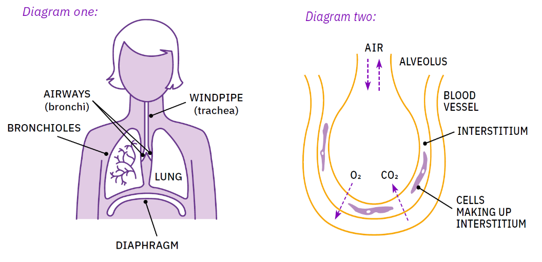 Two diagrams
